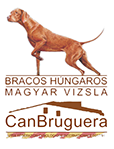 logo Can Bruguera
