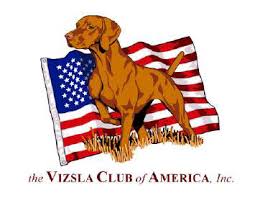 logo vizsla club of USA